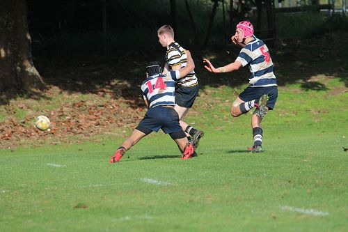 2nd XV vs New Plymouth Boys' High School