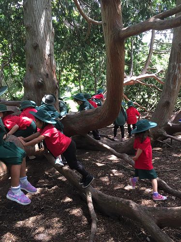 More photos of our trip to the museum and gardens.