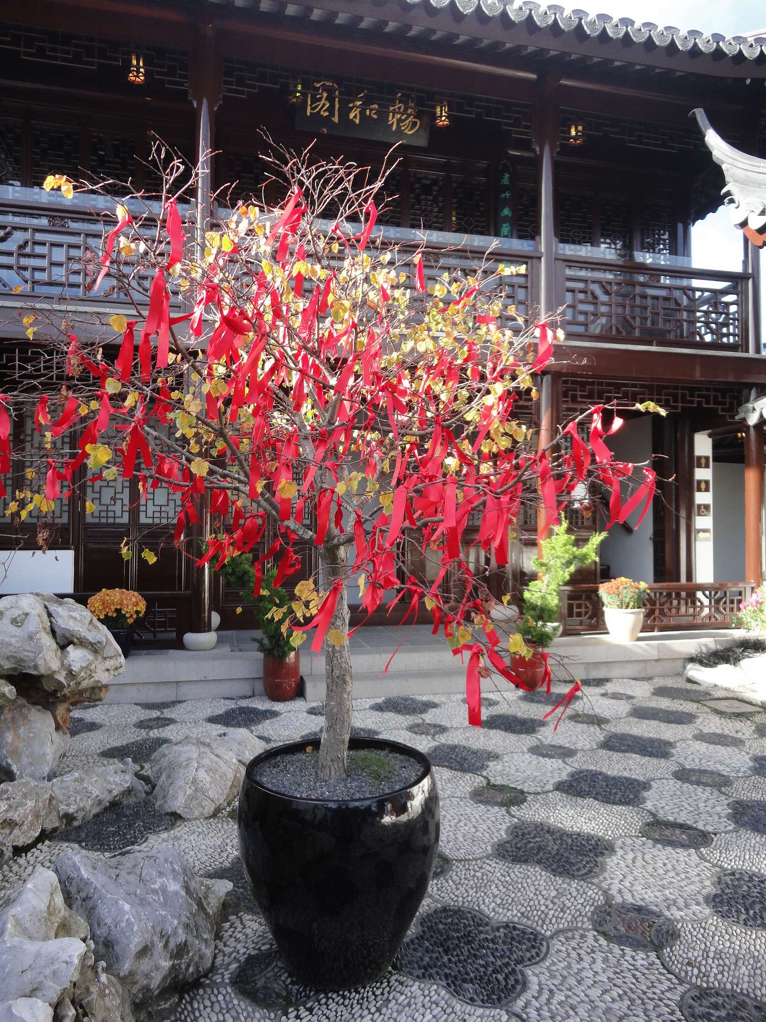 How Do You Wish Chinese