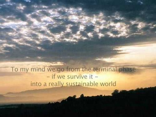 Video: Thomas Berry and The Earth Community