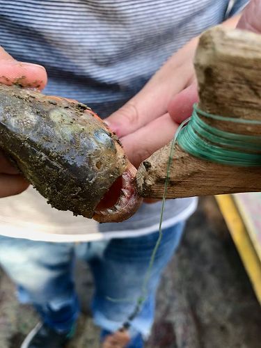 Keep those fingers away!