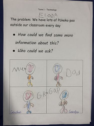 Harakeke Technology Problem