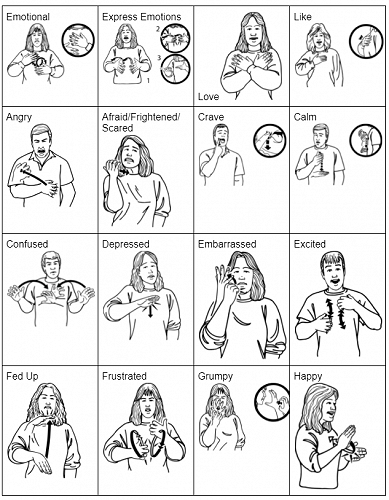 Learning New Zealand Sign Language: Questions and Emotions