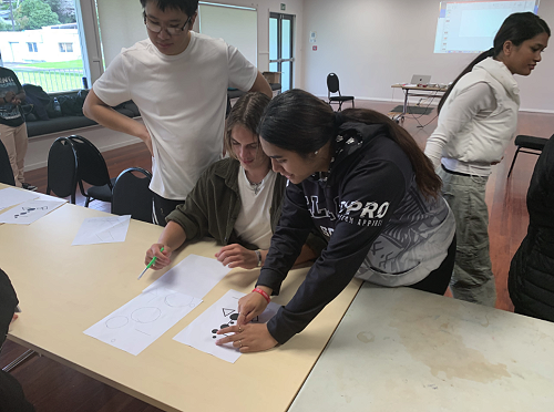 Comparing the results, after the Back-to-Back drawing activity (Auckland)