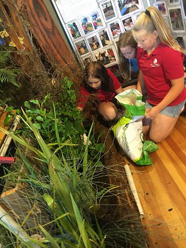 Oderings School Gardens Show 2018