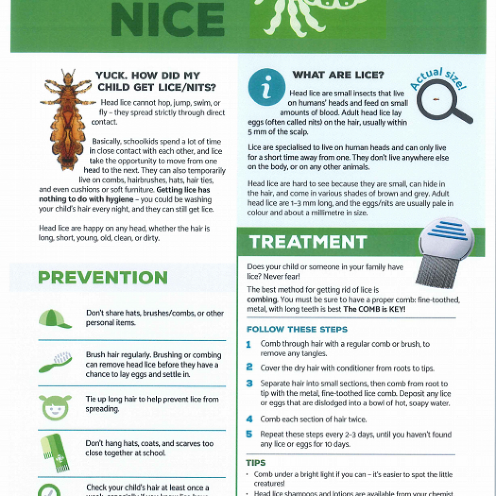 head-lice-are-not-nice