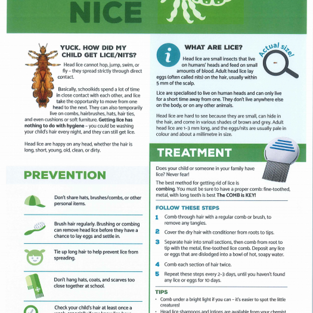 Head Lice Are Not Nice