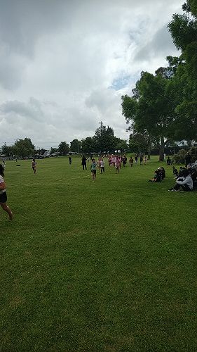 Tauhara Primary Colour Fun Run 2022