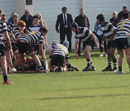 2nd XV vs New Plymouth Boys' High School