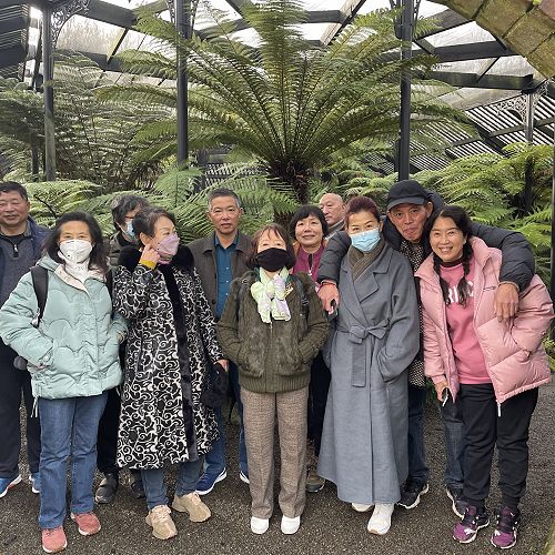 Kereru Lane, Christchurch, New Zealand