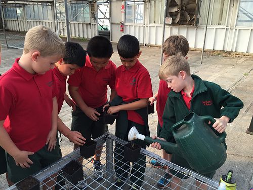 Planting our own bulbs