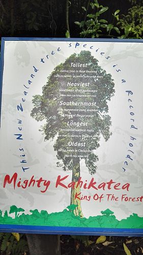 Riccarton House & Riccarton Bush - Team Harakeke - 2017