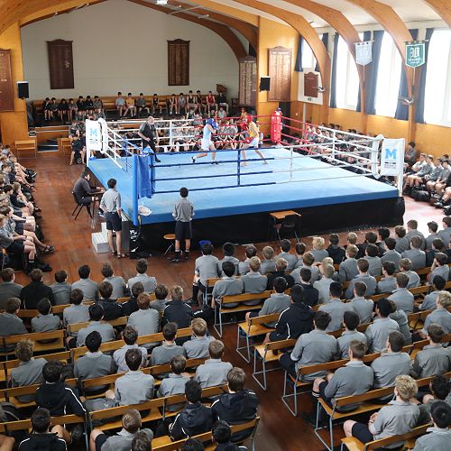 Junior Boxing Championships