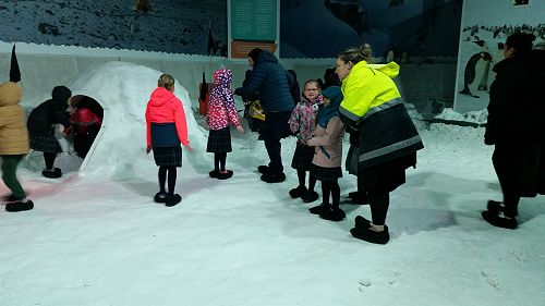 Antarctic Centre
