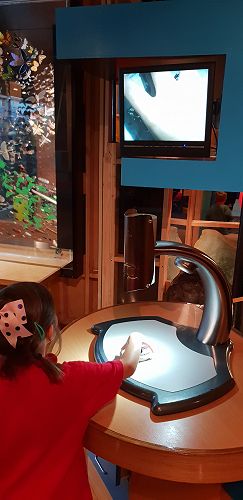 Awa's Trip to the Canterbury Museum