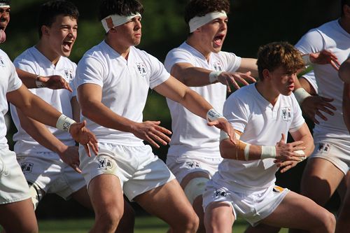 1st XV vs New Plymouth Boys' High School