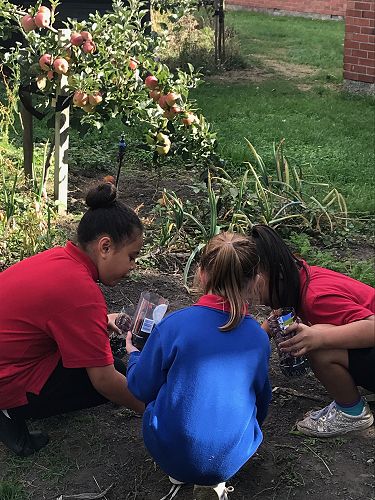 STEAM - Terrarium Making - Team Harakeke