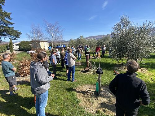 Pruning Workshop