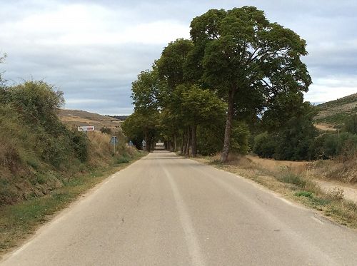 Day 10 Camino de Cubo, Hontanas - welcome green.