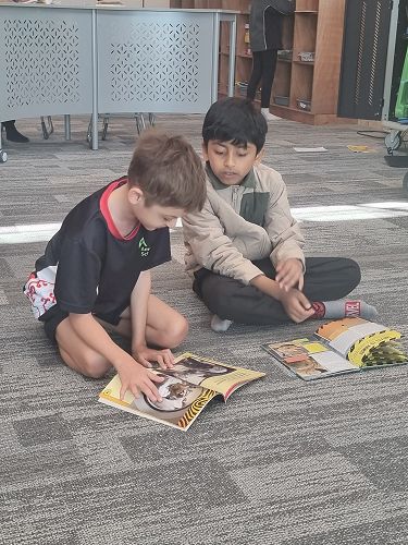 Quiet reading time upstairs in Pōhutukawa