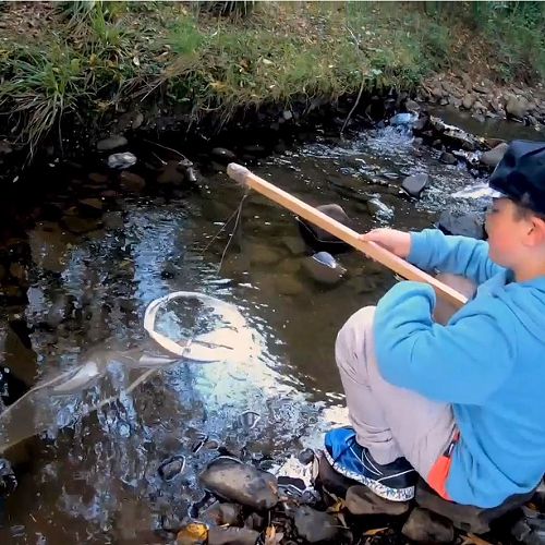 Collecting microplastics in a Southland waterway