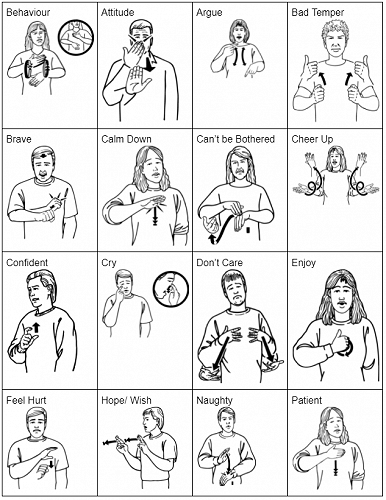 Learning New Zealand Sign Language: Questions and Emotions