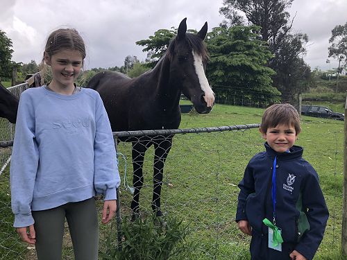 Harriet, Toby the horse and Toby Year 1