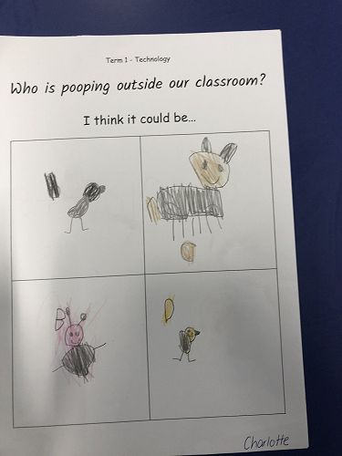 Harakeke Technology Problem