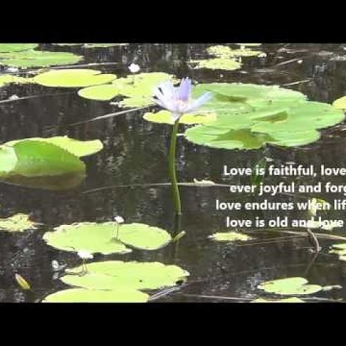 Video: ❤Love Goes On❤ ~ Bernadette Farrell✿ڿڰۣڿڰۣ