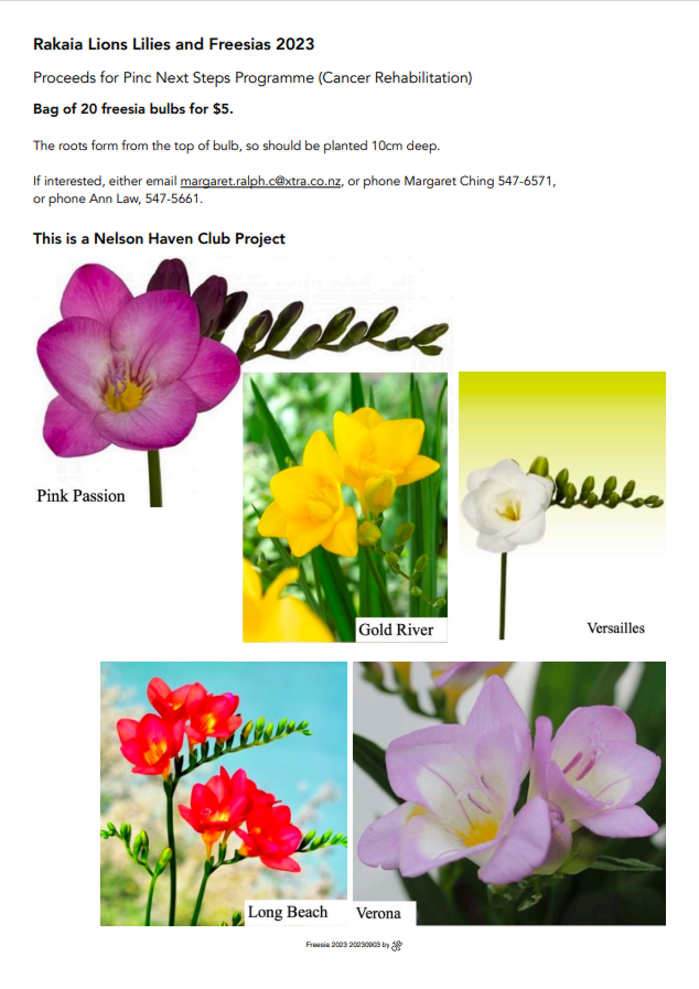 Rakaia Lions Club Lilies & Freesias — Nayland College Newsletter, 8 September 2023