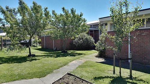 What's Growing in Term 4 2018