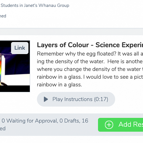 Playing around with Science in Harakeke