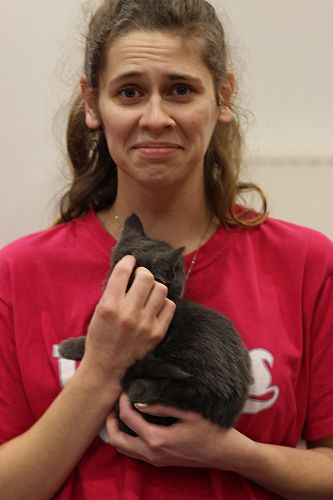 Cat Rescue Dunedin at St Margaret's College