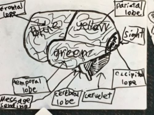 Amazing for 6,7,8 year olds right???????