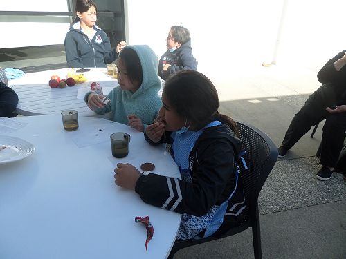 Eating Matariki Stars