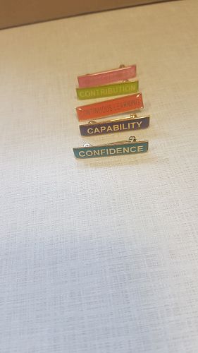 Our new High Five badges