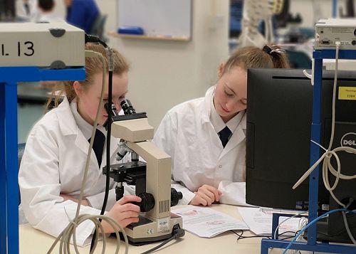 BrainBee Neuroscience competition 2019