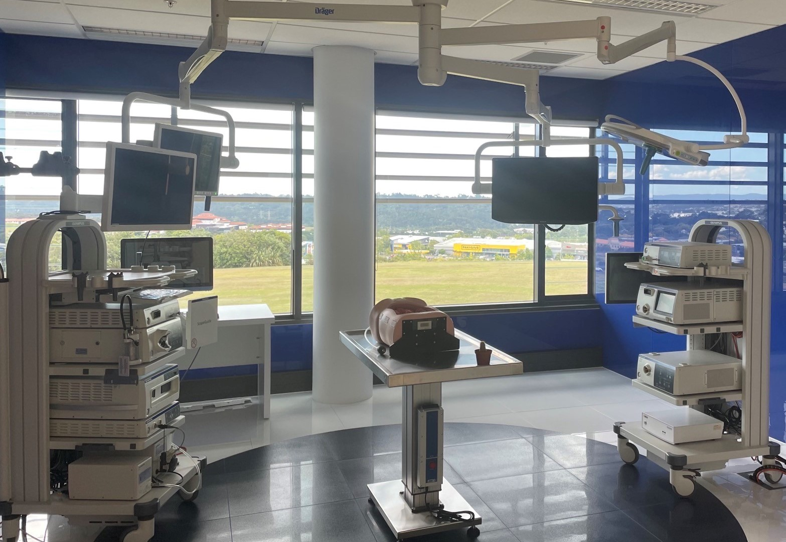 Endoscopy Suite Poster New Zealand Society Of Gastroenterology