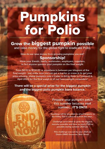 Poster - Pumpkins for Polio Dec 2020