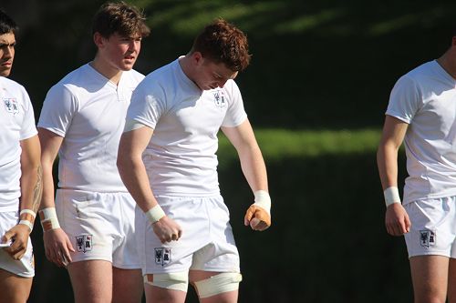 1st XV vs New Plymouth Boys' High School