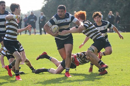 2nd XV vs New Plymouth Boys' High School