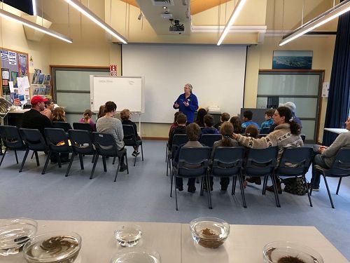 Learning the skills of Science