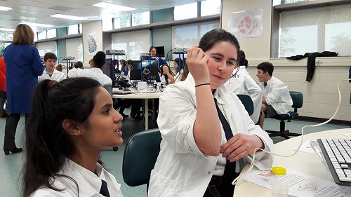 Brain Bee team at work