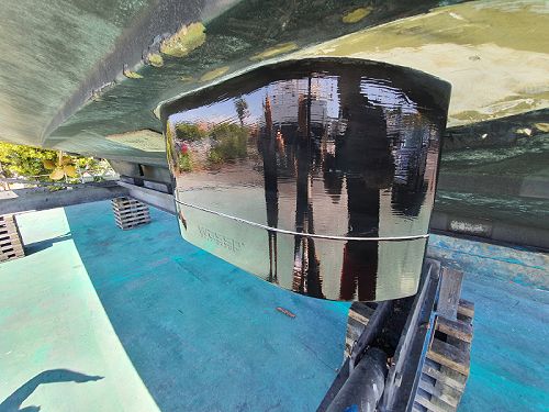 WASSP Transducer with FOULFREE applied