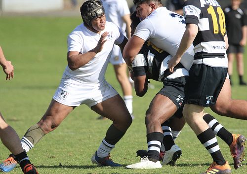 1st XV vs New Plymouth Boys' High School