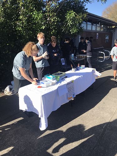 Year 12 Business Studies Market Day