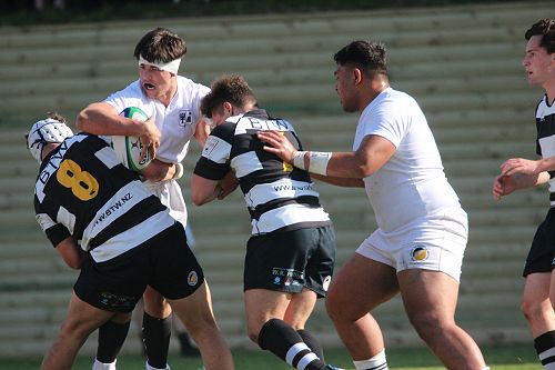 1st XV vs New Plymouth Boys' High School