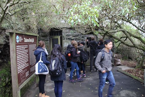 Albatross Colony Trip