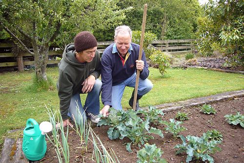 Grow your own vegetables