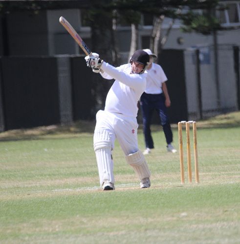 2001 Cricket Reunion